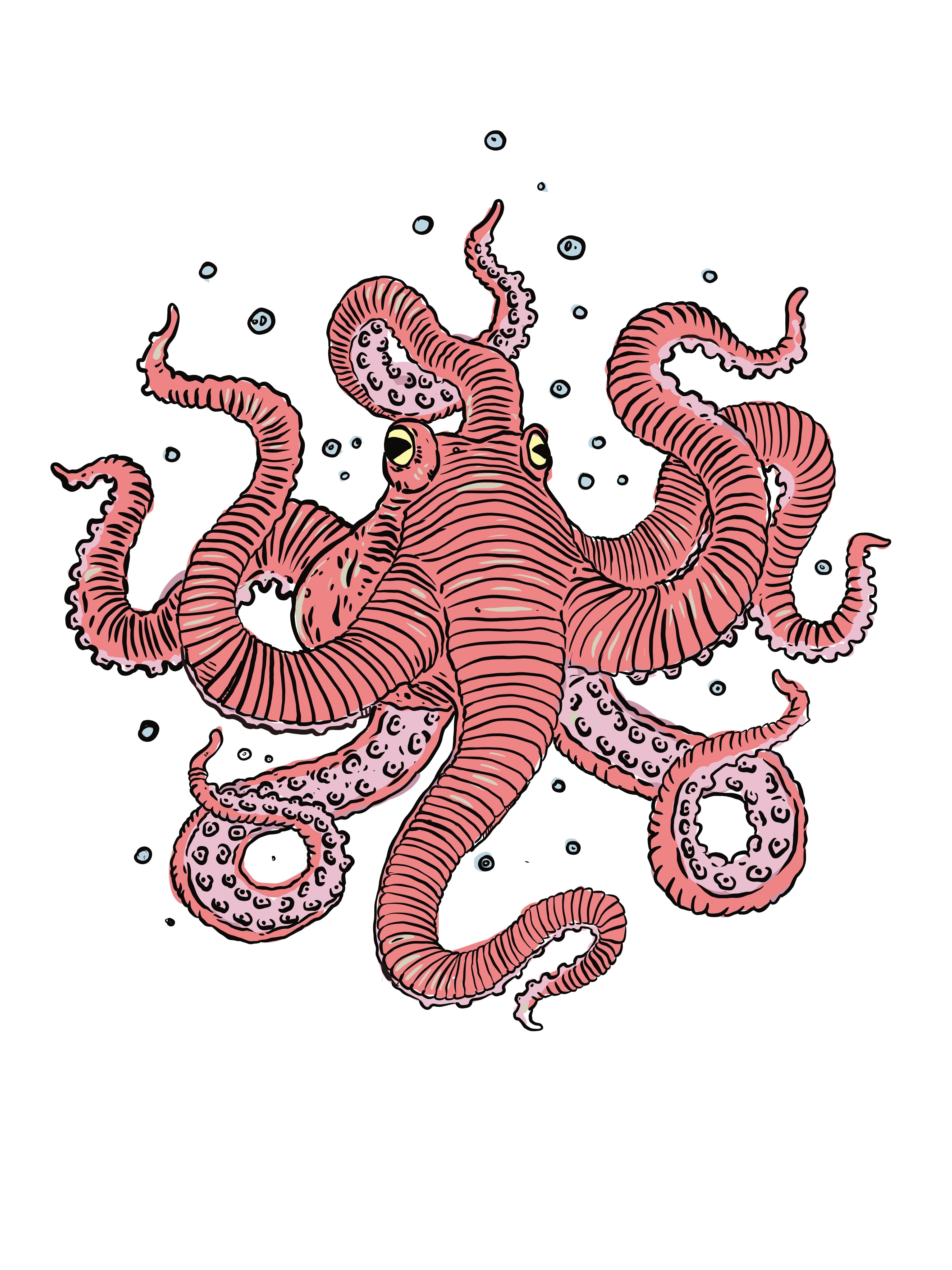 Artist Series: Octopus