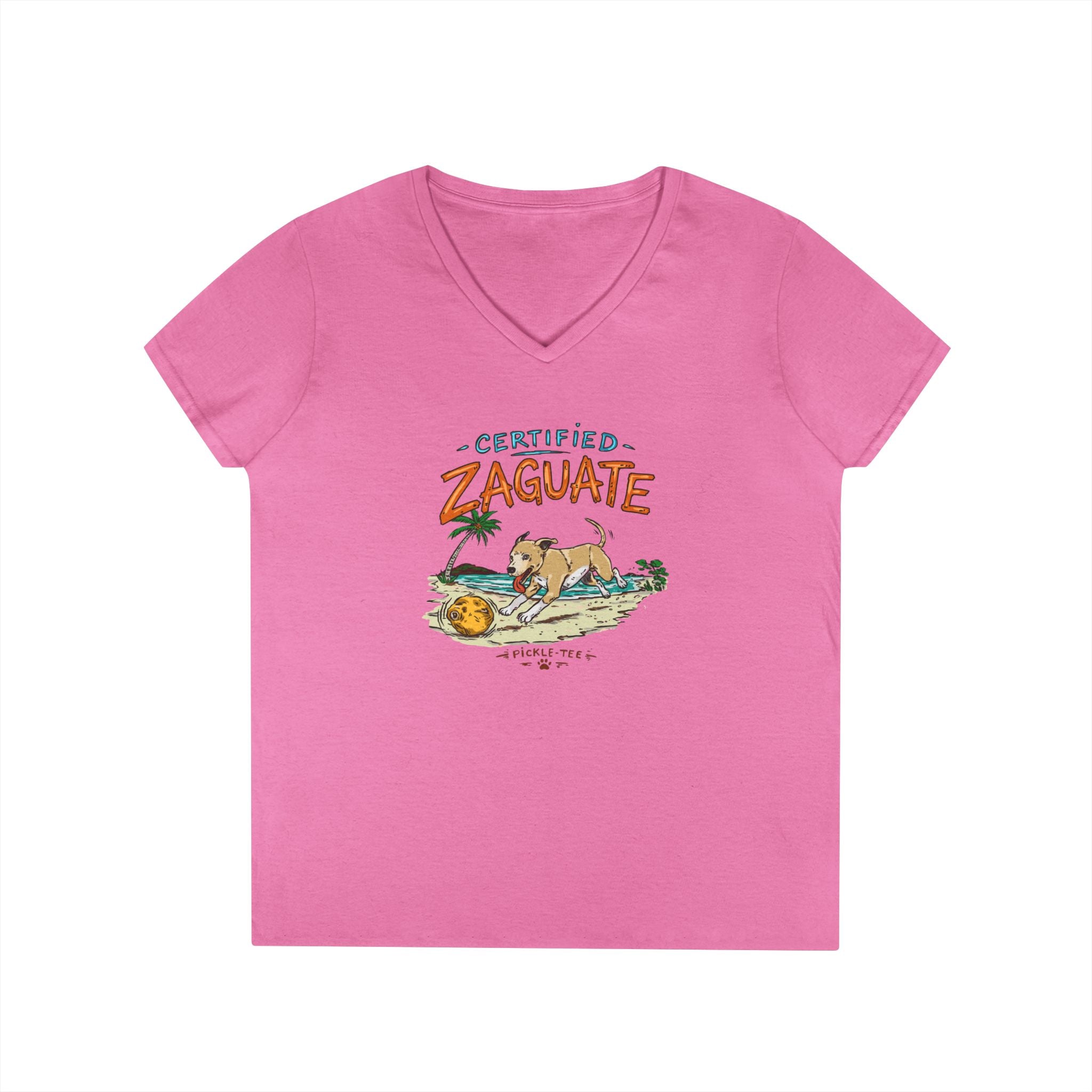 Ladies' V-Neck T-Shirt