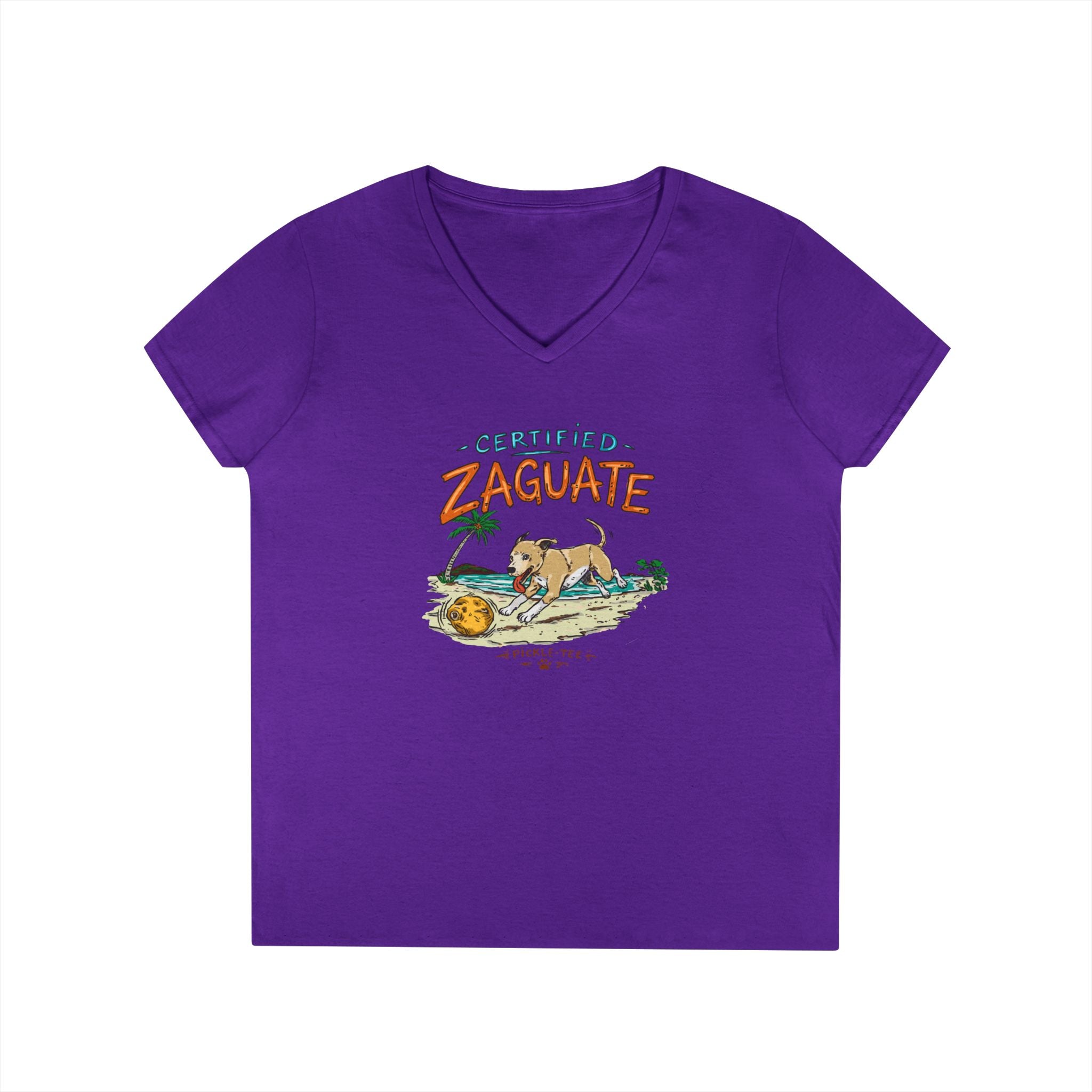 Ladies' V-Neck T-Shirt